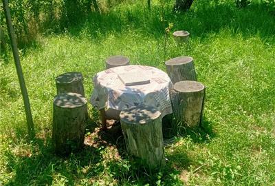 Casă cu 4 camere cu Teren 2200 Mp în Pianu - 7