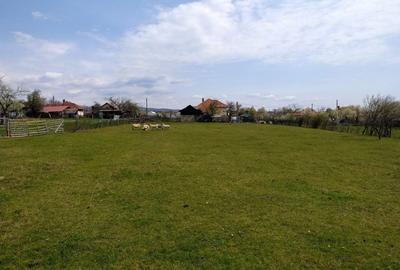 Spațiu comercial, în Radoși - 2