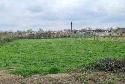 Teren de 2266 mp, în Bazoș - 1