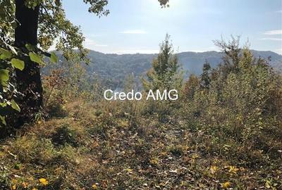 Cornu de jos, Prahova, DN1, 2200mp - 5