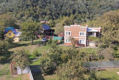 Casă individuală cu 6 camere cu Teren 6329 Mp în Alexandru cel Bun - 8