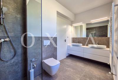 AX1068 Dumbravita, Bulevardul Petre Tutea, Prima Inchiriere - 17