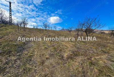 15 parcele de Teren intravilan in Deva, zona Calugareni, Strada Prunilor, Jud. Hd, cu PUZ, PUD, etc. - 16