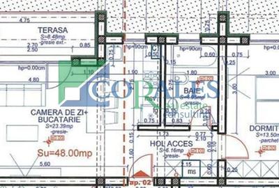 Apartament cu 2 camere decomandat în Dumbrăvița - 9