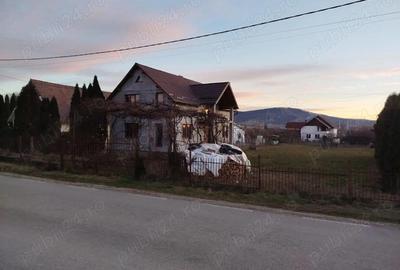Casa mare cu teren de vanzare in localitatea Livezile - 2