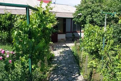 Casa la sosea langa bucuresti 1600mp 100 metri de DN6 E7 30 km de piata unirii - 8