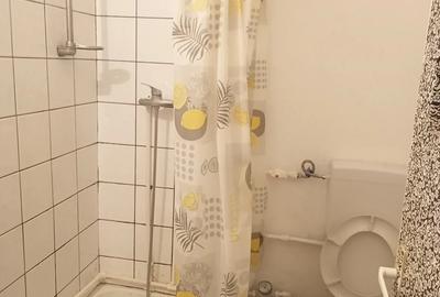 180 euro, garsoniera garsoniera mobilata - 1