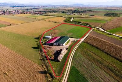 Teren de 18000 mp, în Rotbav - 1
