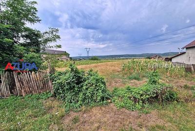 AZURA Imobiliare - Teren Budeasa Galasesti Calotesti - 10