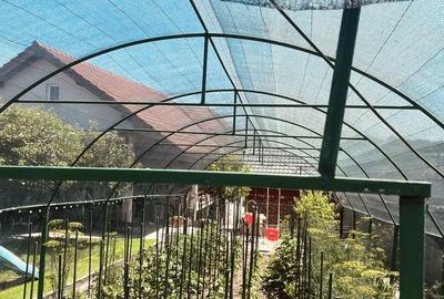 Casă cu 4 camere în Malu Mare - 6