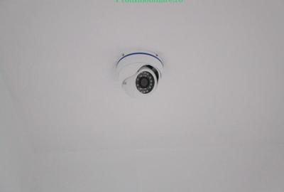 Birou, de 140 mp, în Micălaca - 25