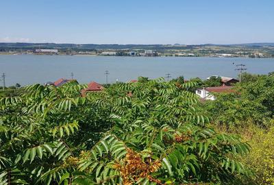Teren de 1800 mp, în Schela - 10