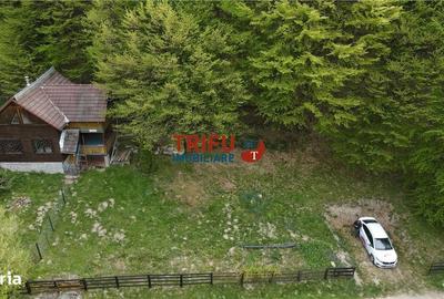 Casă cu 4 camere în Ighiel - 2
