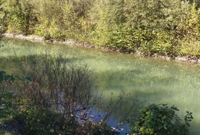 Teren imprejmuit cu iaz indiguit, 7200mp, Fratautii Vechi, R - 4