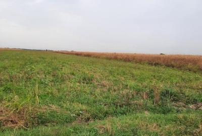 VANZARE TEREN COM. DOMNESTI- SAT. TEGHES VANZARE TEREN COM. DOMNESTI- SAT. TEGHES - 6