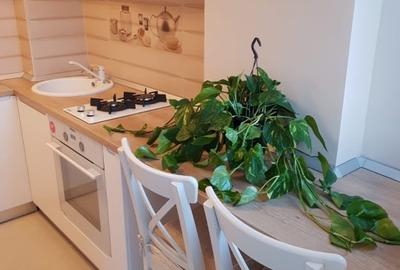 Proprietar ofer spre inchiriere garsoniera, conf I - lux, Merrou Stefan cel Mare - 6