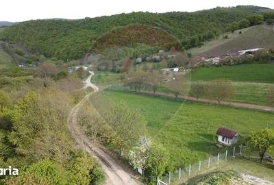 Teren de 3826 mp, în Apahida - 5