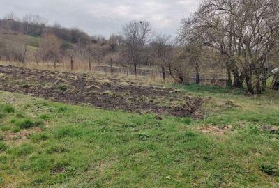 Casa Aghiresu Casa Aghiresu - 9