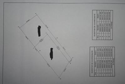 2 parcele de teren in Zavoi, str. Brandusei, 1440 mp, asfalt - 4