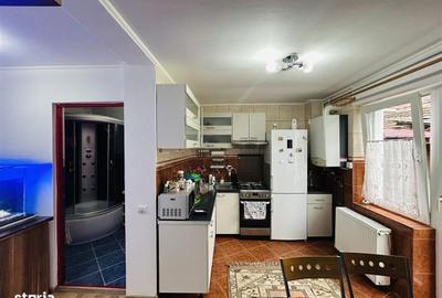 Garsonieră în Terezian - 7