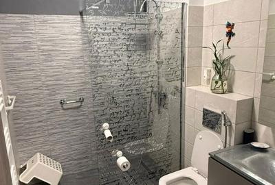 Apartament cu 2 camere decomandat în Lăpuș - 3