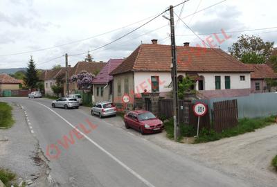 Casă individuală cu 3 camere în Bixad - 3
