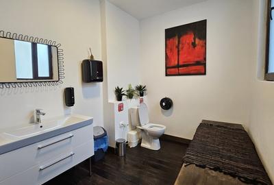 Casă cu 10 camere cu Teren 600 Mp în Cișmigiu - 11