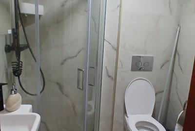Apartament cu 2 camere semidecomandat în Șagului - 9