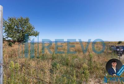 Hala de inchiriat, Sat Valea Seaca, Com. N. Balcescu,... - 13