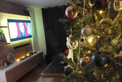 Teren cu doua case in Breazu Copou - 2