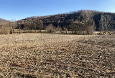 Teren intravilan de vanzare in Dej, PUZ aprobat - 2