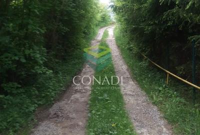 Teren de 800 mp, în Central - 16