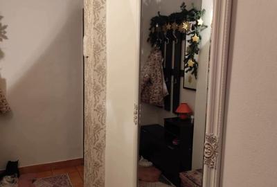 Apartament cu 2 camere în Beba Veche - 3