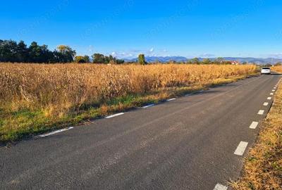 Teren de 7526 mp, în Băcia - 3