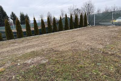 Teren intravilan 1.900 mp * deschidere 25 ml * Valea Avrigului / jud. Sibiu - 4