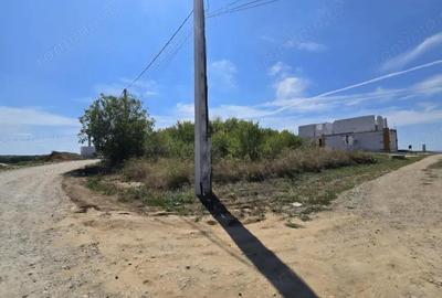 Teren Paleu Intravilan - 6