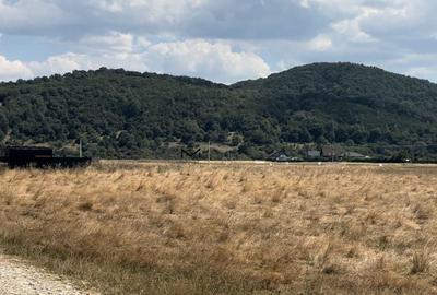 De vânzare: Teren 2000 mp în Glăjerie - Cadru natural spectaculos