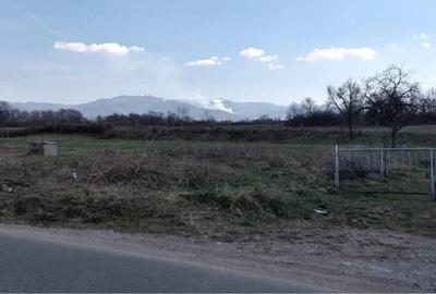 Teren de 2383 mp, în Buntești - 4