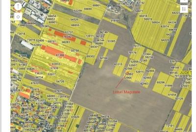 Vanzare Teren Magurele 3702 mp - 4