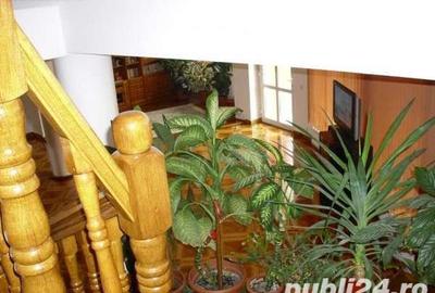 Casă cu 6 camere cu Teren 450 Mp în Sub Arini - 4