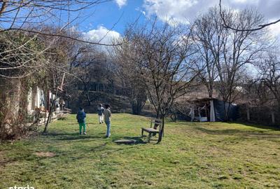 Casă cu 3 camere cu Teren 1811 Mp în Biertan - 10