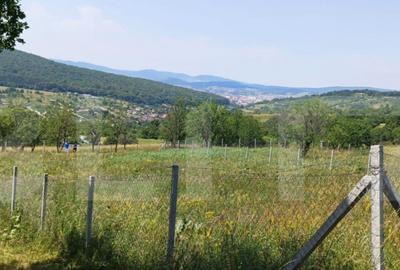 Teren extravilan de 1000 mp, situat pe strada Ghinzii - 2