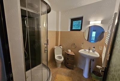 Casă cu 5 camere cu Teren 6842 Mp în Brădetu - 5