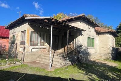 Casă cu 5 camere cu Teren 8000 Mp în Orlești - 3