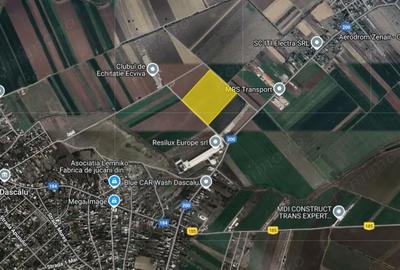 Teren de 66000 mp, în Dascălu - 3