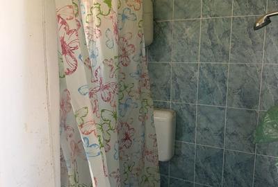 Casă cu 4 camere în Lugojel - 6