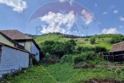 Casa saseasca tradi?ionala in inima Biertanului ... - 10