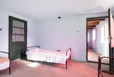 RECO Casa de vacanta la Holod- langa padure- teren 2190mp - 22