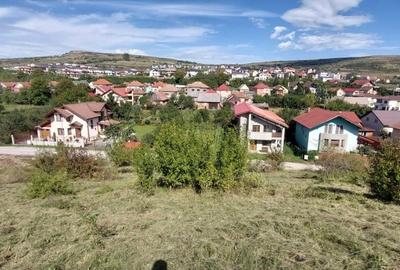 Teren Construcții intravilan de 1214 mp, în Chinteni - 4