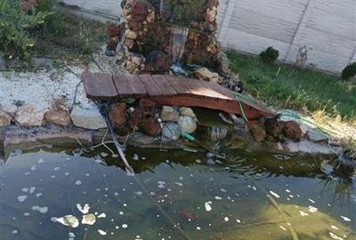 Exclusivitate - Casa eleganta, teren 1000 mp - Murgasi, Dolj Exclusivitate - Casa eleganta, teren 1000 mp - Murgasi, Dolj - 15